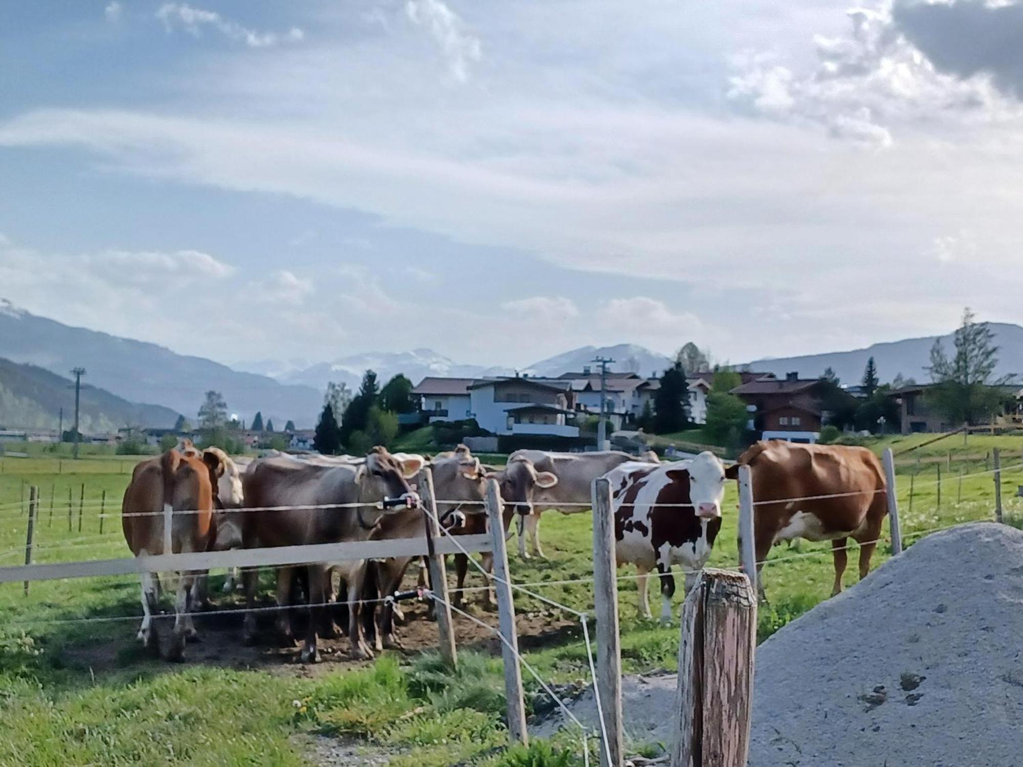Villa Lampererhof Sankt Johann in Tirol Exterior foto