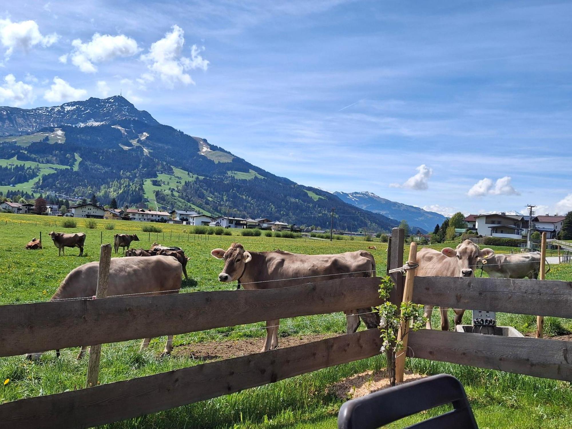 Villa Lampererhof Sankt Johann in Tirol Exterior foto