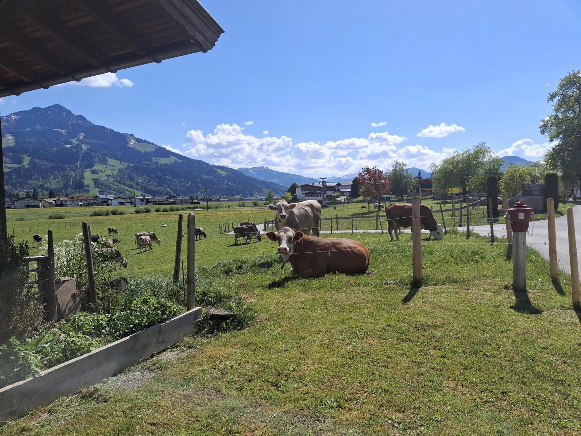 Villa Lampererhof Sankt Johann in Tirol Exterior foto