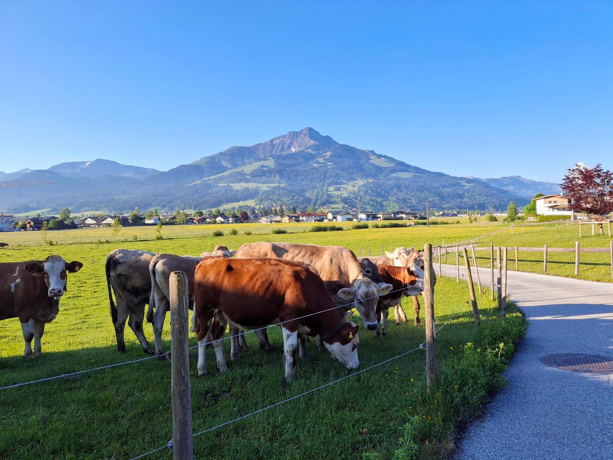 Villa Lampererhof Sankt Johann in Tirol Exterior foto