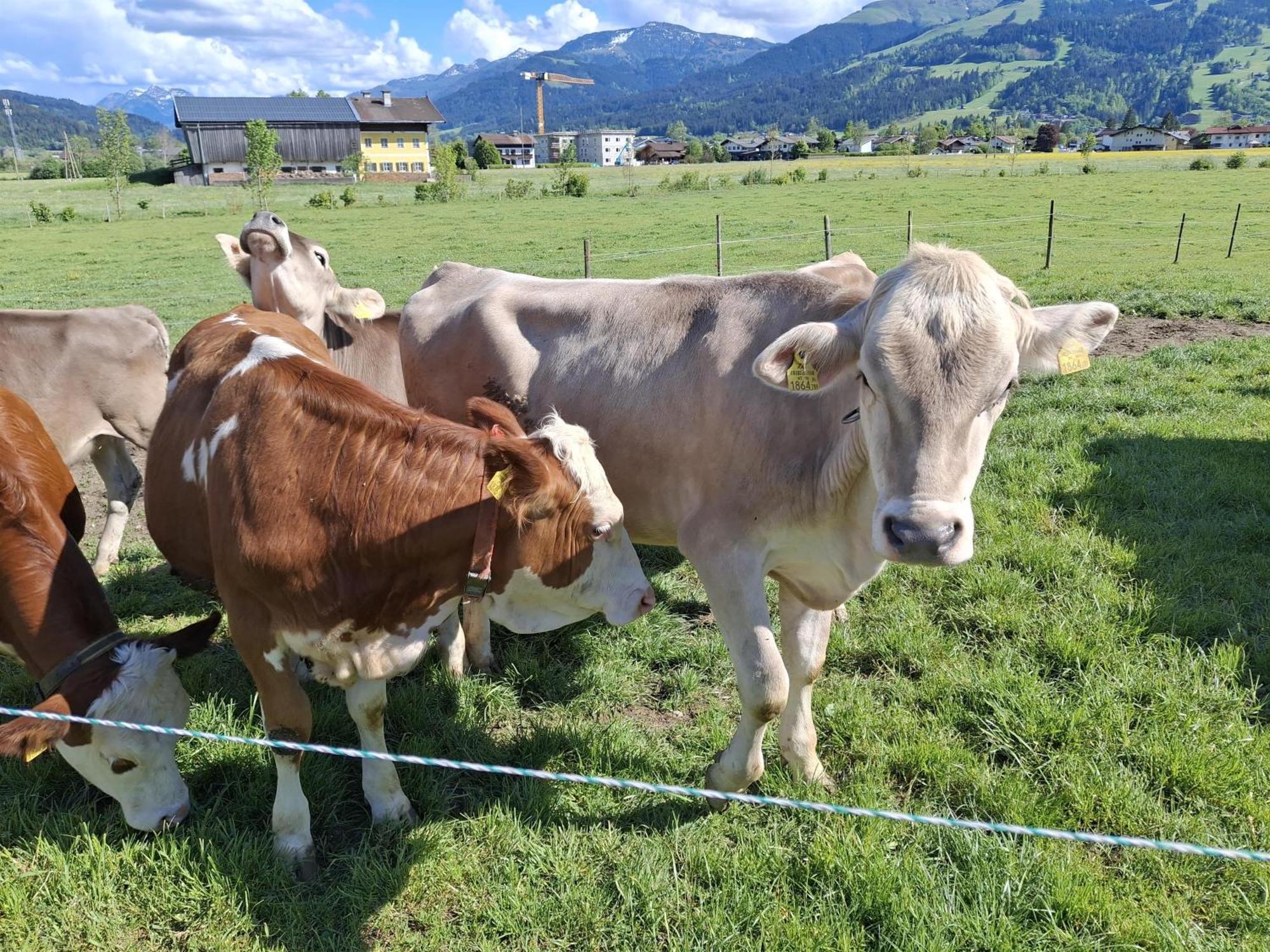 Villa Lampererhof Sankt Johann in Tirol Exterior foto